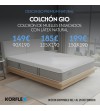 OFERTA FEBRERO 2026: GIO
