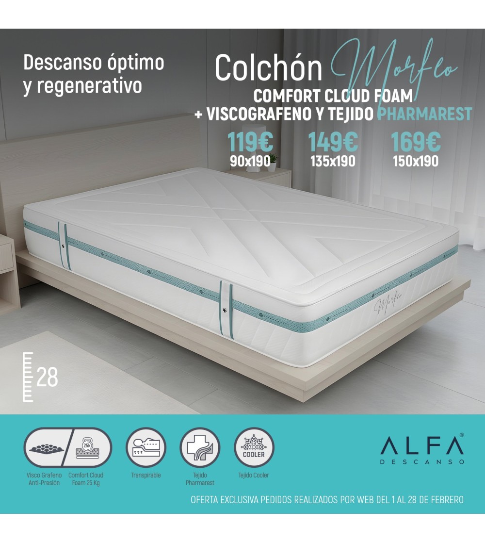 OFERTA FEBRERO 2026: MORFEO
